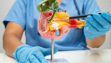 Signs Your Bile Duct May Be Blocked- When Palliative Biliary Stenting Becomes Necessary Signs Your Bile Duct May Be Blocked- When Palliative Biliary Stenting Becomes Necessary