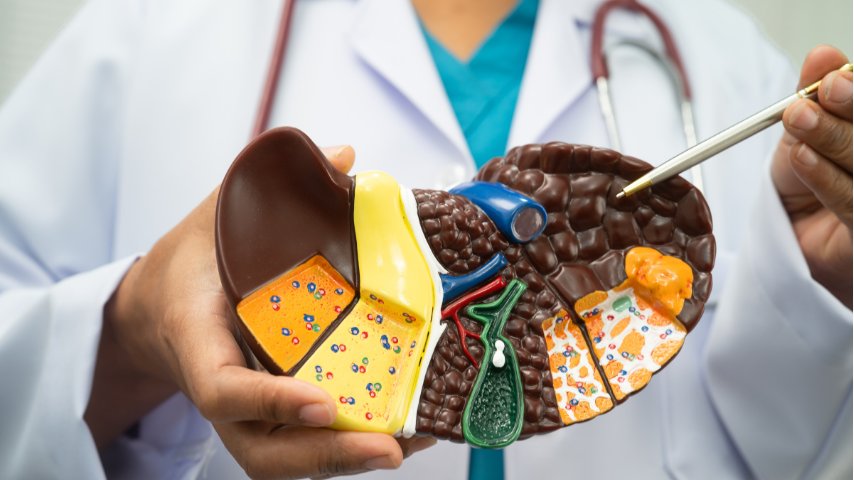 Why Did My Biliary Stent Fail- Common Reasons for Repeat Procedures and Blockage Why Did My Biliary Stent Fail- Common Reasons for Repeat Procedures and Blockage