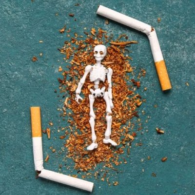 tobacco smuggling penalties uk Tougher penalties as taxman steps up the fight against tobacco smuggling tobacco smuggling penalties uk Tougher penalties as taxman steps up the fight against tobacco smuggling
