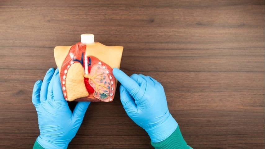 EBUS-TBNA-What Is It and Why Use Ultrasound Guidance EBUS-TBNA-What Is It and Why Use Ultrasound Guidance