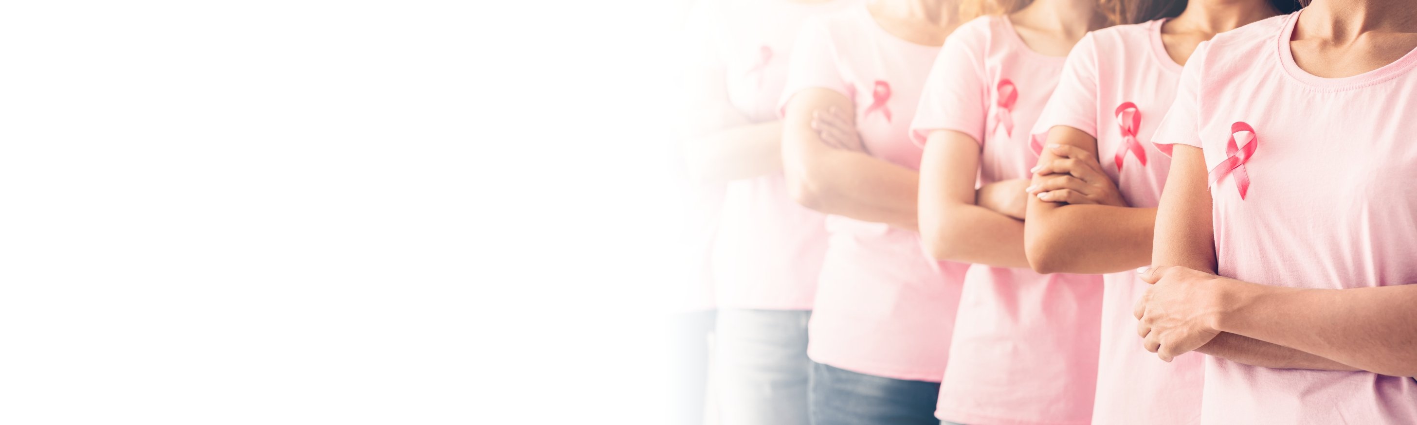 Breast Cancer - Website Banner - W2912XH600
