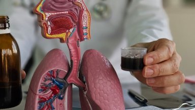 Success Rates and Diagnostic Accuracy of EBUS-TBNA- What the Studies Show Success Rates and Diagnostic Accuracy of EBUS-TBNA- What the Studies Show