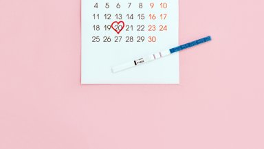 Ovulation Tracking- Does It Really Help You Get Pregnant Faster Ovulation Tracking- Does It Really Help You Get Pregnant Faster