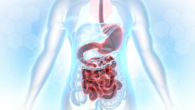 Distal Pancreatectomy vs Whipple Surgery- Which One Is Needed and Why Distal Pancreatectomy vs Whipple Surgery- Which One Is Needed and Why