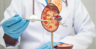 Uro Oncology Excellence- Robotic Precision for Prostate, Kidney, Bladder & Testicular Cancers with Enhanced Recovery Uro Oncology Excellence- Robotic Precision for Prostate, Kidney, Bladder & Testicular Cancers with Enhanced Recovery
