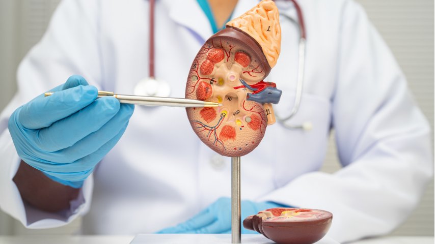 Uro Oncology Excellence- Robotic Precision for Prostate, Kidney, Bladder & Testicular Cancers with Enhanced Recovery Uro Oncology Excellence- Robotic Precision for Prostate, Kidney, Bladder & Testicular Cancers with Enhanced Recovery