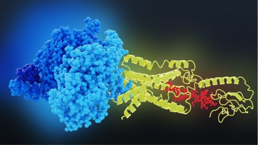 PRRT-Treatment-Experience PRRT-Treatment-Experience