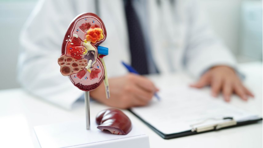 Urology Elevated- Robotic Solutions for Stones, Obstructions, Reconstructions & Complex Urological Disorders Urology Elevated- Robotic Solutions for Stones, Obstructions, Reconstructions & Complex Urological Disorders