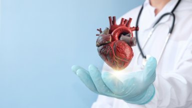 How to Choose the Right MICS Surgeon- Experience, Success Rates, and Red Flags How to Choose the Right MICS Surgeon- Experience, Success Rates, and Red Flags