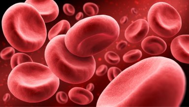 High Platelet Count: Causes, Symptoms, Treatment, and Best Ways to Manage It High Platelet Count: Causes, Symptoms, Treatment, and Best Ways to Manage It