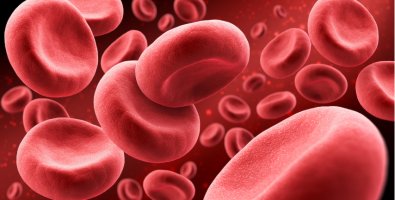 High Platelet Count: Causes, Symptoms, Treatment, and Best Ways to Manage It High Platelet Count: Causes, Symptoms, Treatment, and Best Ways to Manage It