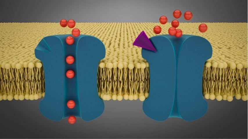 Is-PRRT-Safe Is-PRRT-Safe