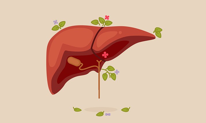 fatty-liver