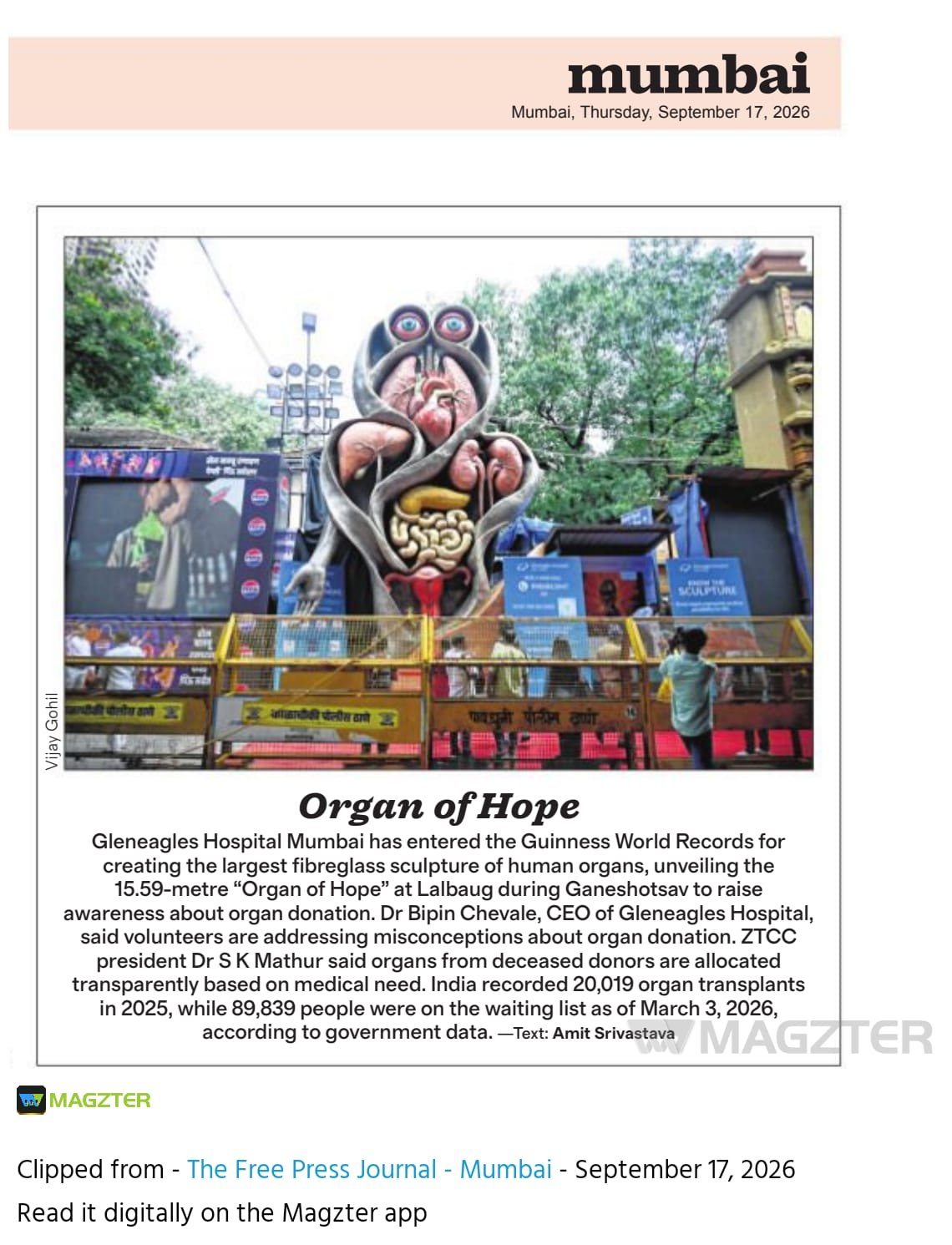 Organ of Hope