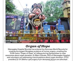Organ of Hope Organ of Hope