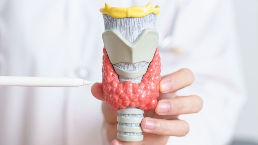 Is Thyroid Artery Embolization Safe- Risks, Complications, and Success Rates Is Thyroid Artery Embolization Safe- Risks, Complications, and Success Rates