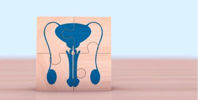 Is It Normal to Have Visible Veins in the Scrotum- What Men Are Asking Is It Normal to Have Visible Veins in the Scrotum- What Men Are Asking