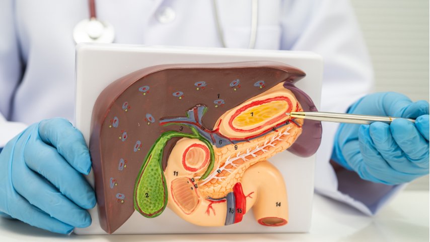 ERCP vs PTBD for Palliative Biliary Drainage- Which Procedure Is Safer and Why