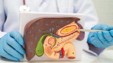 ERCP vs PTBD for Palliative Biliary Drainage- Which Procedure Is Safer and Why ERCP vs PTBD for Palliative Biliary Drainage- Which Procedure Is Safer and Why