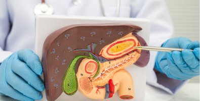 ERCP vs PTBD for Palliative Biliary Drainage- Which Procedure Is Safer and Why ERCP vs PTBD for Palliative Biliary Drainage- Which Procedure Is Safer and Why