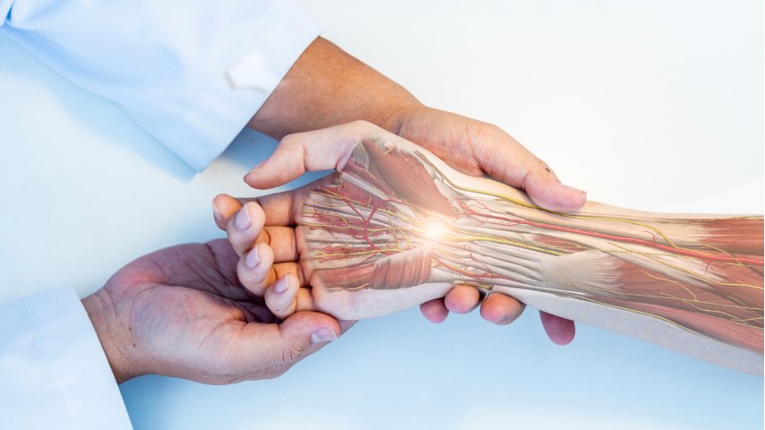 How Does a Hand Transplant Surgery Actually Work- Step-by-Step Explained