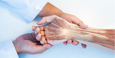 How Does a Hand Transplant Surgery Actually Work- Step-by-Step Explained How Does a Hand Transplant Surgery Actually Work- Step-by-Step Explained