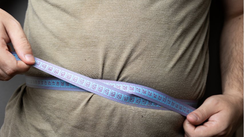 The Hidden Health Risk of Being Skinny Fat-What Your BMI Isn't Telling You