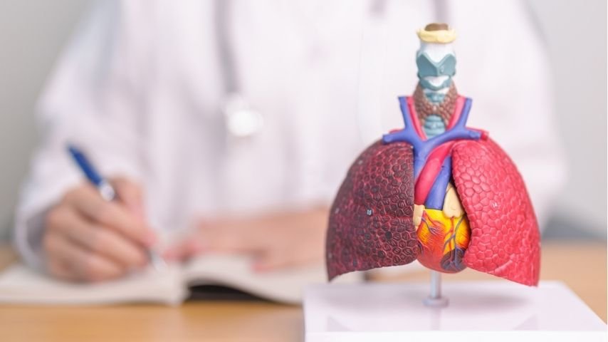 Safety and Risks of Adhesiolysis During Medical Thoracoscopy-What Patients Should Know