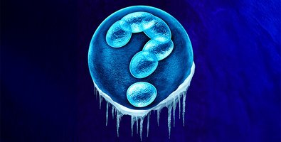 IVF Myths vs Reality Separating Internet Fear from Medical Facts IVF Myths vs Reality Separating Internet Fear from Medical Facts