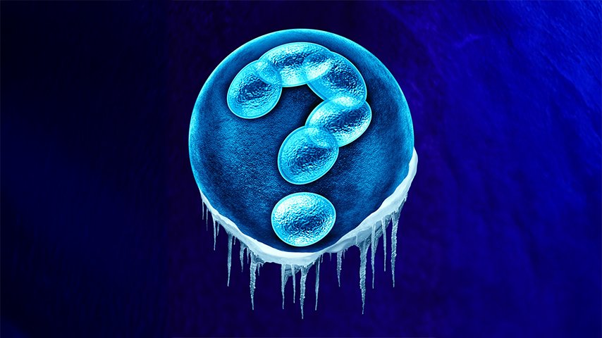 IVF Myths vs Reality Separating Internet Fear from Medical Facts IVF Myths vs Reality Separating Internet Fear from Medical Facts