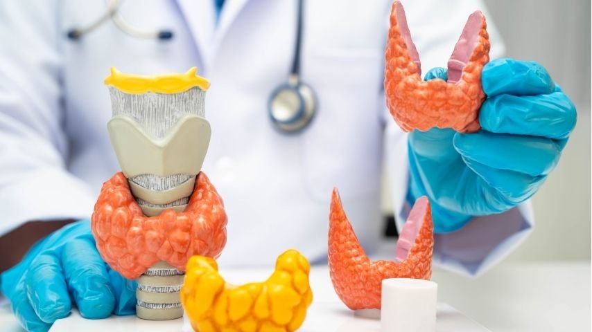 Thyroid Artery Embolization vs Surgery- Which Option Fits Your Life Better Thyroid Artery Embolization vs Surgery- Which Option Fits Your Life Better