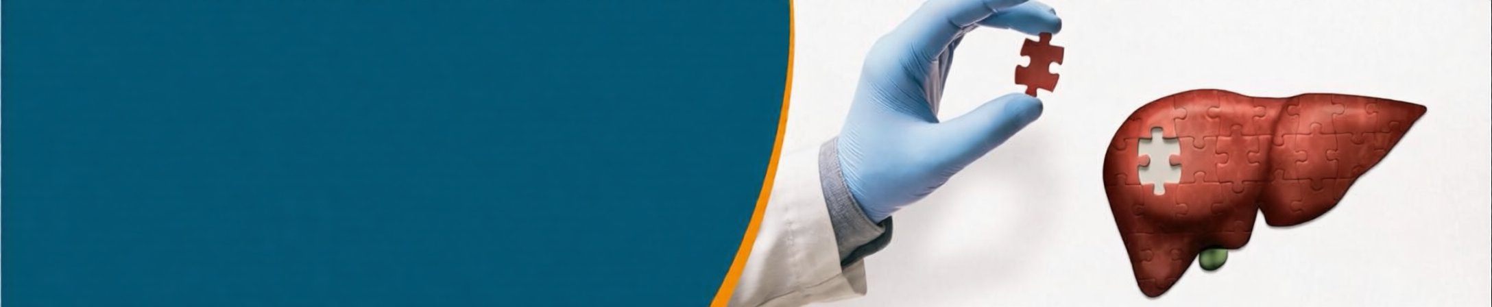 Hpb Surgery And Liver Transplant