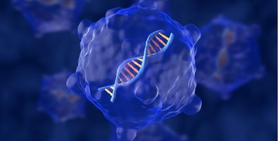 Cytokine Release Syndrome and Neurotoxicity in CAR-T — What Patients Are Worried About Cytokine Release Syndrome and Neurotoxicity in CAR-T — What Patients Are Worried About