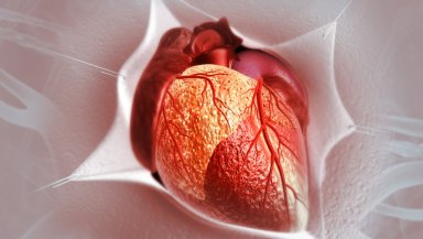 Minimally Invasive Cardiac Surgery (MICS)- What It Is and Why More Heart Patients Are Choosing It Minimally Invasive Cardiac Surgery (MICS)- What It Is and Why More Heart Patients Are Choosing It