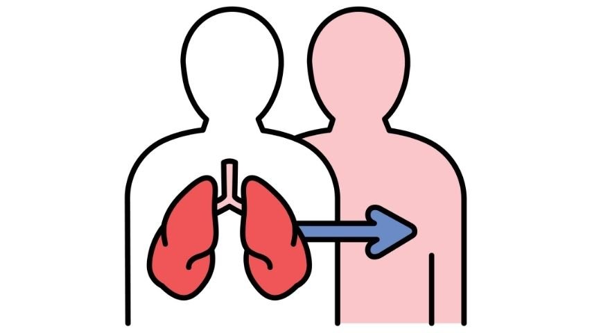 Am I Eligible for a Lung Transplant- Age Limits, Health Criteria and Tests Explained