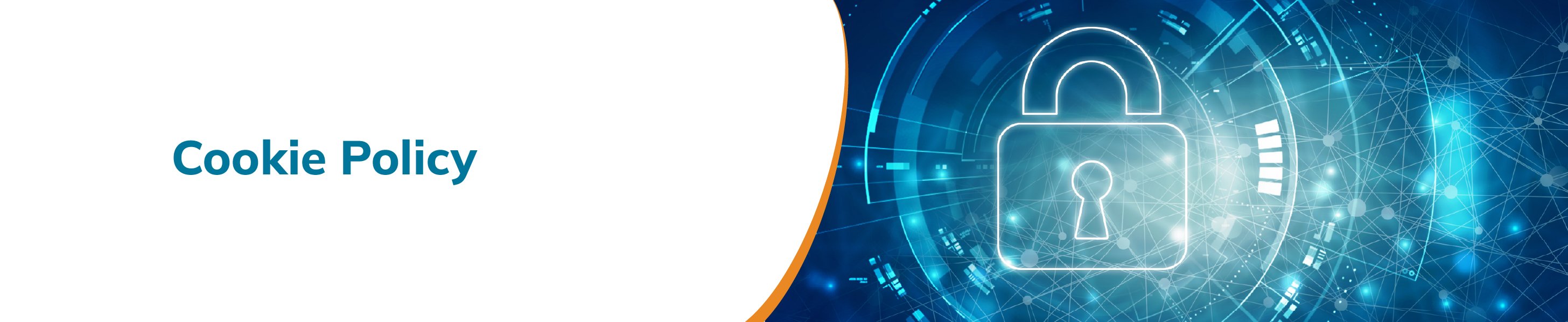 Cookie Policy Web Banners_Desktop_2912 x 600.jpg