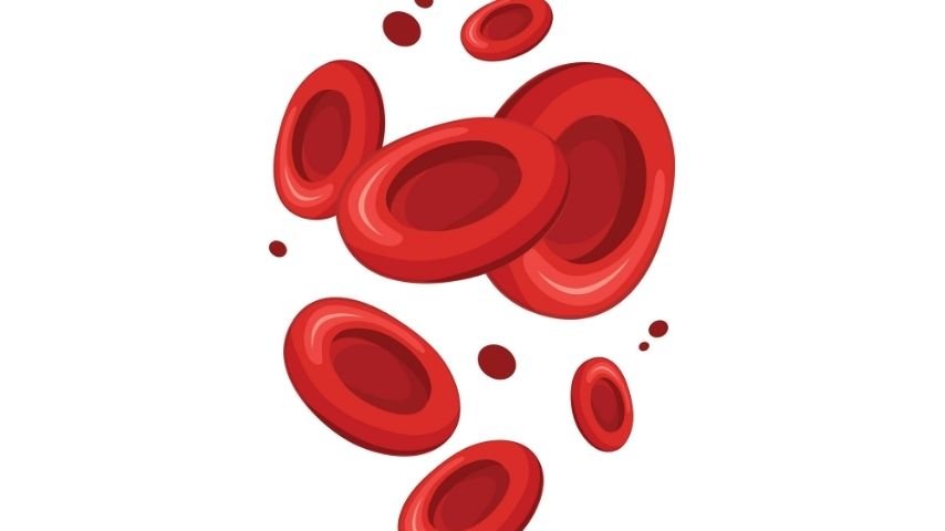 High Platelet Volume- Causes, Symptoms, and Treatment Options High Platelet Volume- Causes, Symptoms, and Treatment Options