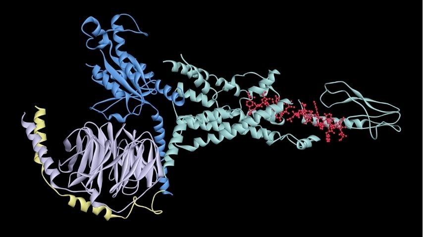 PRRT-Side-Effects PRRT-Side-Effects