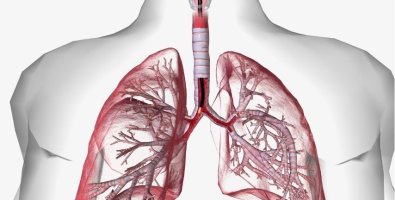 How Accurate Is Navigation Bronchoscopy for Diagnosing Lung Nodules How Accurate Is Navigation Bronchoscopy for Diagnosing Lung Nodules
