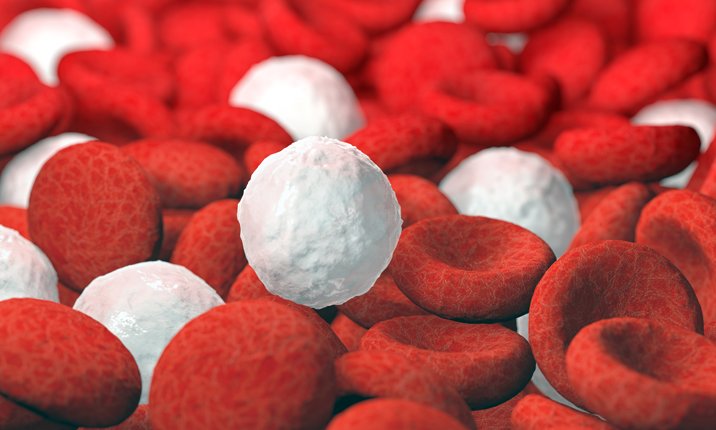 Detailed close up of red and white cells