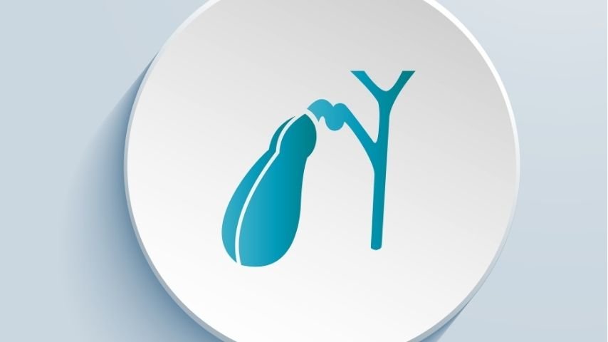 Why Does Gallbladder Pain Come and Go? Can You Feel Fine Even With Gallstones? Why Does Gallbladder Pain Come and Go? Can You Feel Fine Even With Gallstones?