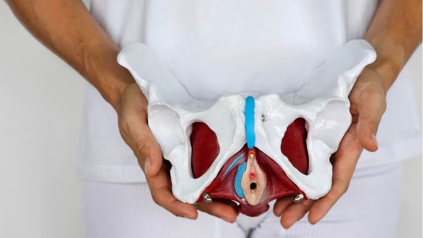 UFE Recovery Timeline Week-by-Week- What to Expect Beyond Day 1 UFE Recovery Timeline Week-by-Week- What to Expect Beyond Day 1