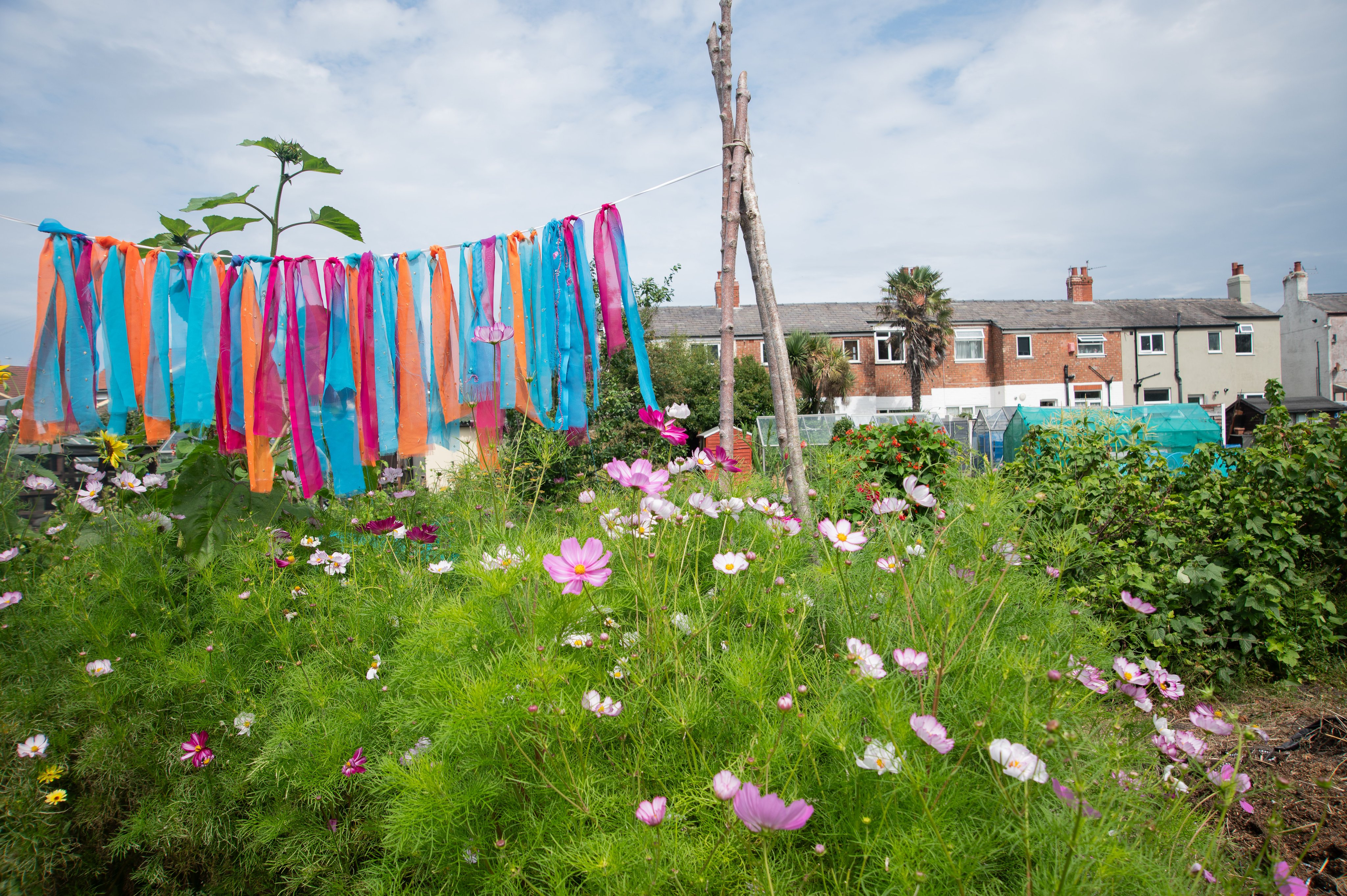 Ribbons hanging above meadow flowers in an allotment.