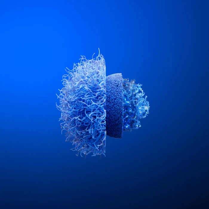 LONZA_LNP_LANDSCAPE_v01