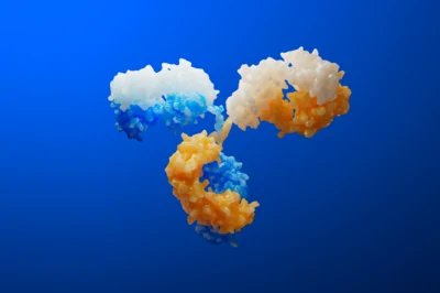 Bispecific solo_without text_page 5