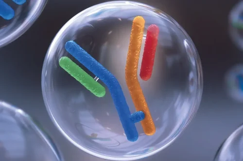 bYlok® Bispecific Pairing Technology