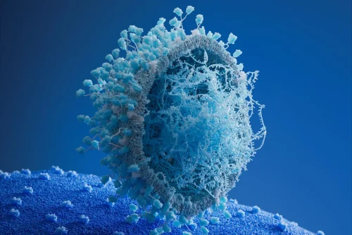 Exosomes Characterization & Manufacturing (CDMO) | Lonza
