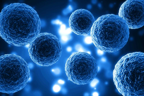 GS Xceed® Gene Expression System
