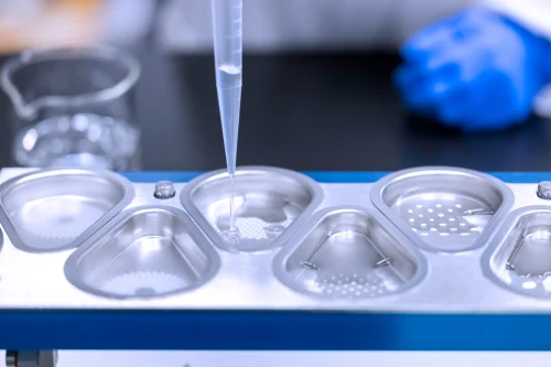 Pulmonary Delivery of Spray Dried Monoclonal Antibodies to Treat Lung Cancer