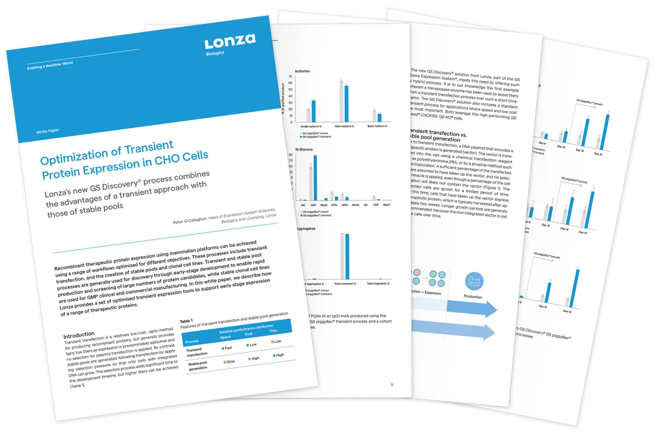 GS Discovery White Paper graphic